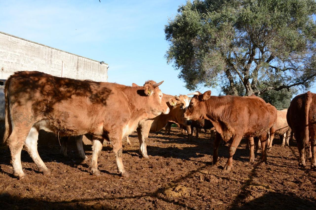 Caprarica di Lecce Masseria Rifisa Agriresort מראה חיצוני תמונה